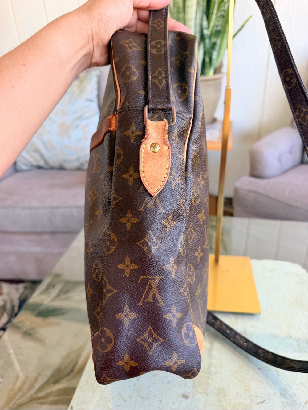 Louis Vuitton Danube GM Monogram💝💝💝 - Picture 5 of 9